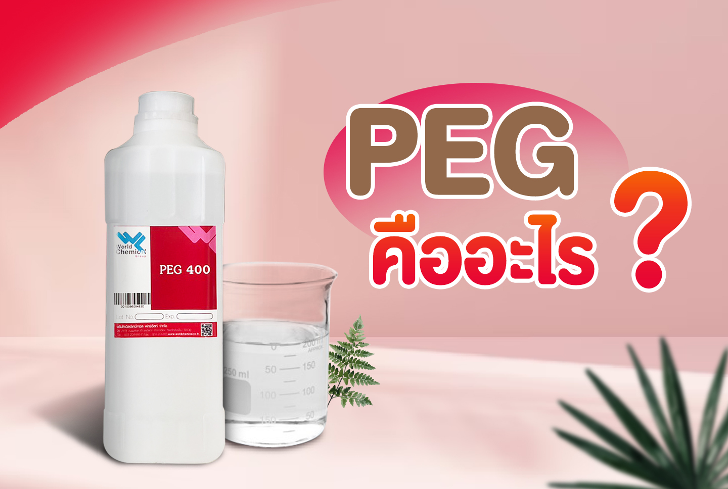 เคมีภัณฑ์,สารเคมีภัณฑ์,เคมีภัณฑ์อุตสาหกรรม,เคมีภัณฑ์เชียงใหม่,ร้านเคมีใกล้ฉัน