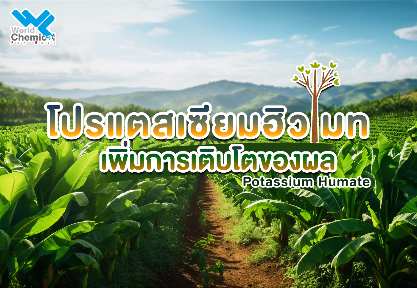 เคมีภัณฑ์,สารเคมีภัณฑ์,เคมีภัณฑ์อุตสาหกรรม,เคมีภัณฑ์เชียงใหม่,ร้านเคมีใกล้ฉัน,เคมีเชียงใหม่