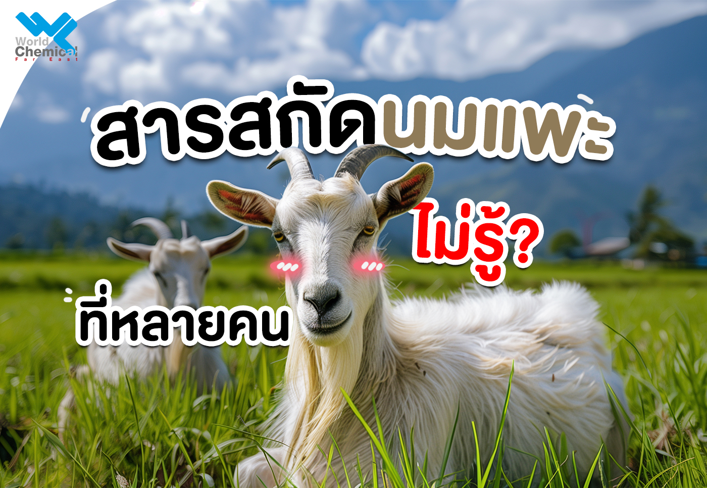 เคมีภัณฑ์,สารเคมีภัณฑ์,เคมีภัณฑ์อุตสาหกรรม,เคมีภัณฑ์เชียงใหม่,ร้านเคมีใกล้ฉัน,สารสกัดนมแพะ