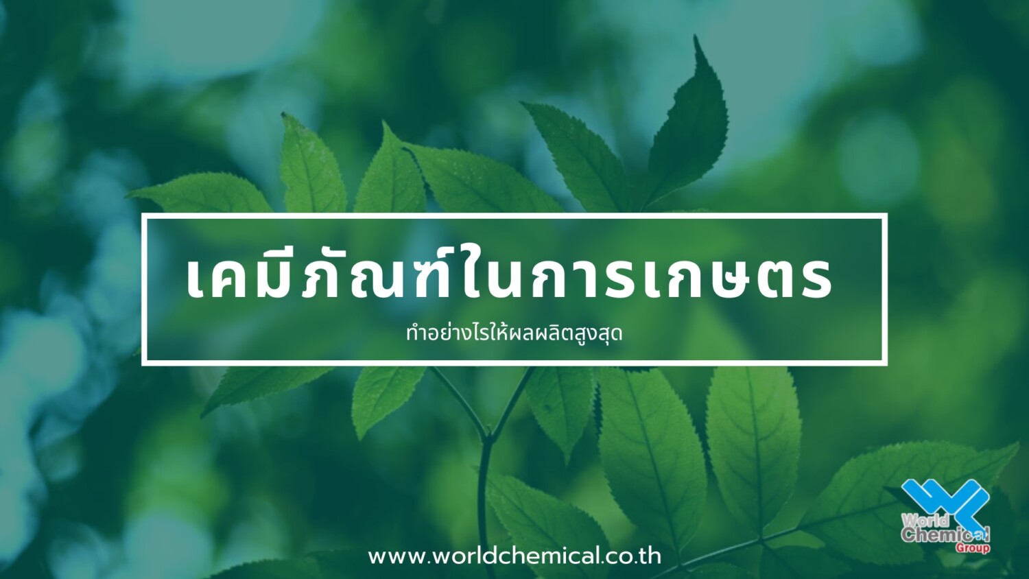 ลบคำศัพท์: เคมีภัณฑ์ ในการเกษตร ทำอย่างไรให้ผลผลิตสูงสุด เคมีภัณฑ์ ในการเกษตร ทำอย่างไรให้ผลผลิตสูงสุด