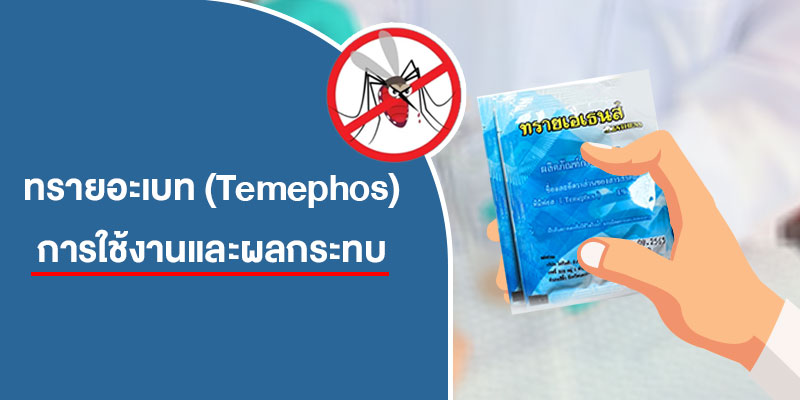 ทรายอะเบท-(Temephos)