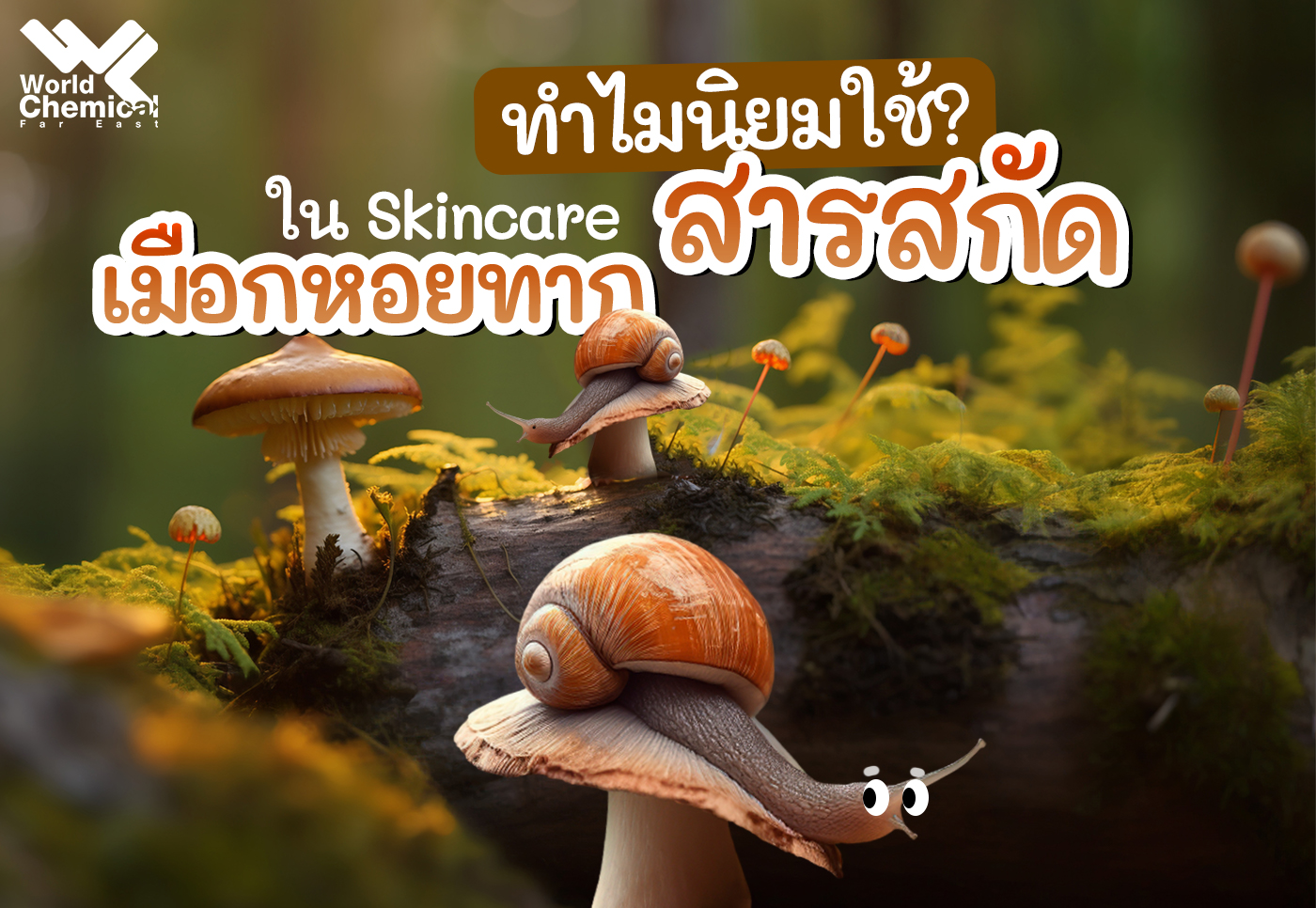 สารสกัดเมือกหอยทาก,worldchemical,เคมีภัณฑ์เชียงใหม่,snail