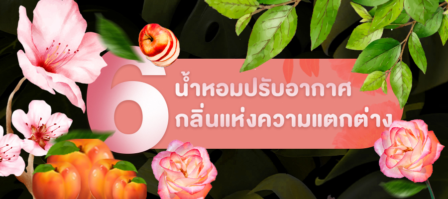 น้ำหอมปรับอากาศ 6 กลิ่นแห่งความแตกต่าง