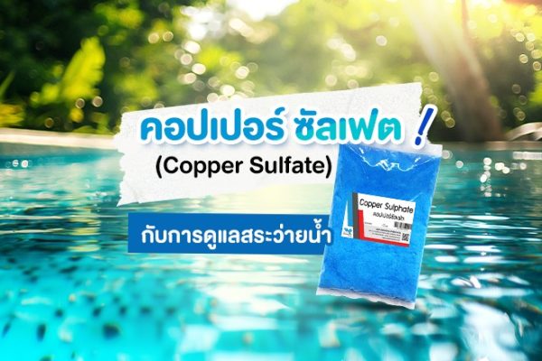 Copper Sulfate, เคมีภัณฑ์,สารเคมีภัณฑ์,เคมีภัณฑ์อุตสาหกรรม,เคมีภัณฑ์เชียงใหม่,ร้านเคมีใกล้ฉัน