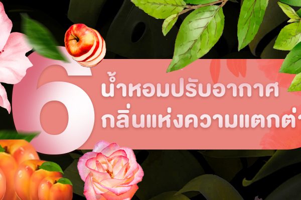 น้ำหอมปรับอากาศ 6 กลิ่นแห่งความแตกต่าง