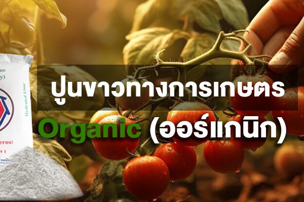 ปูนขาวทางการเกษตร Organic(ออร์แกนิก)